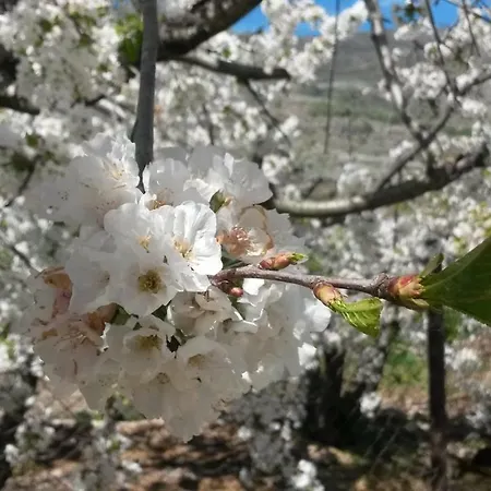 La Casita Del Jerte *