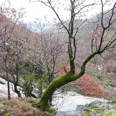 La Casita Del Jerte Cabezuela Del Valle