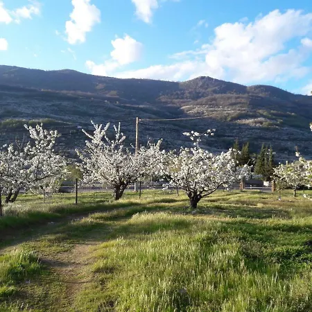 公寓 La Casita Del Jerte 加比祖尔拉山谷