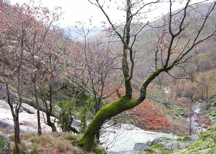 La Casita Del Jerte Cabezuela Del Valle